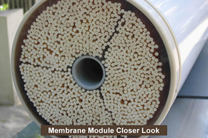 membrane-module2.jpg